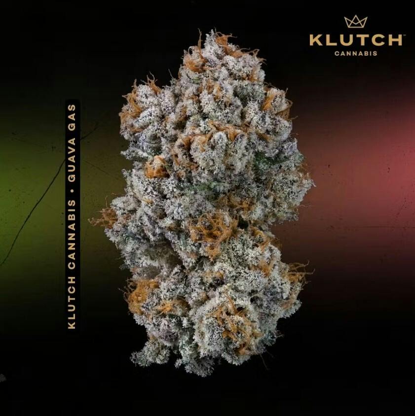 Klutch - Guava Gas - 1