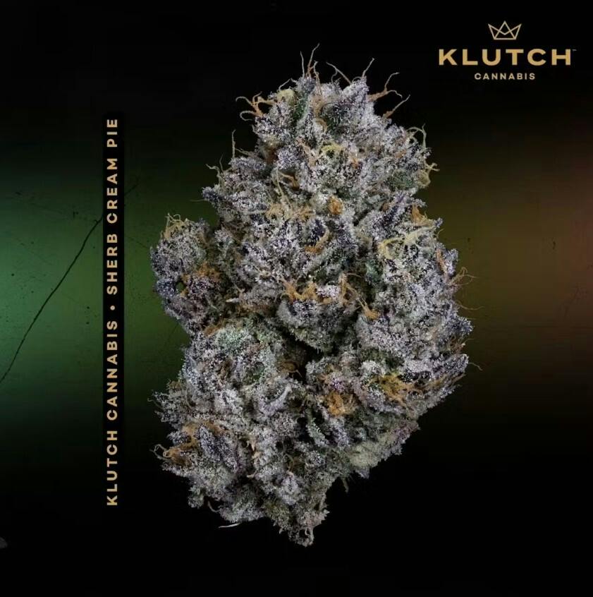 Klutch - Sherb Cream Pie - 1