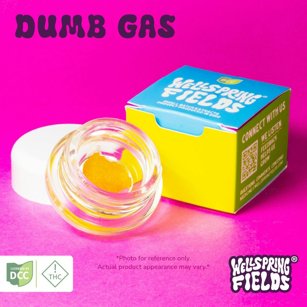 Wellspring Fields - Dumb Gas Live Resin - 1g