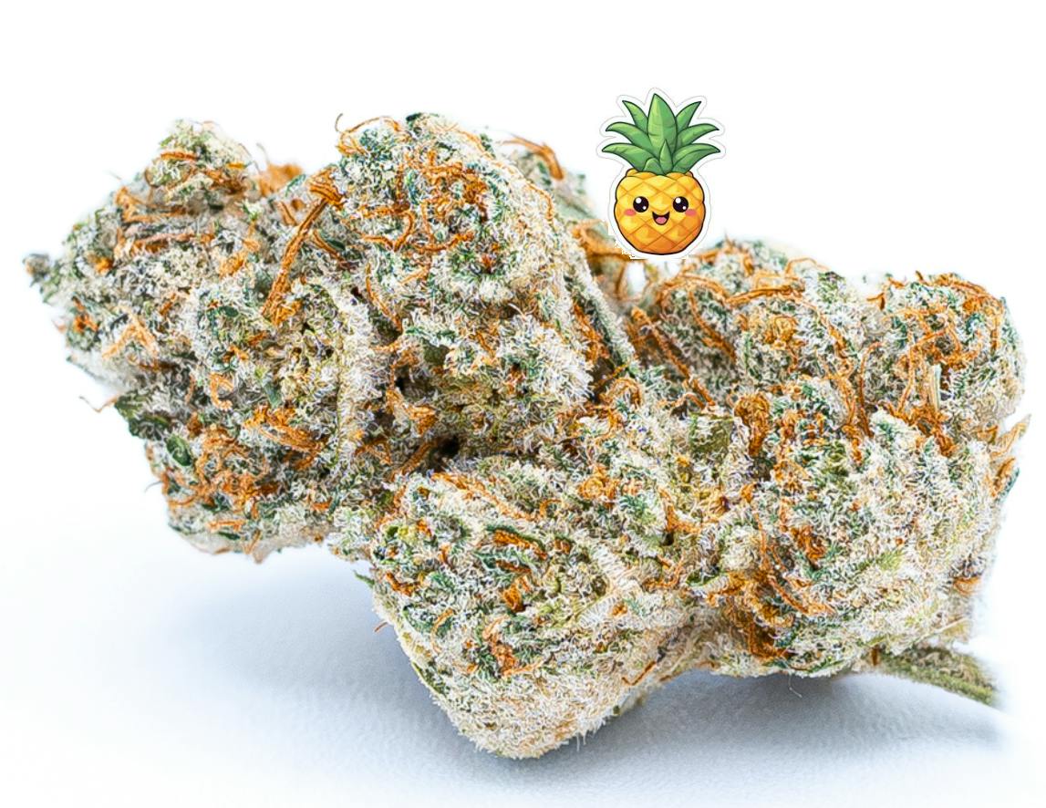 High Rollers - Flower - Pineapple Upside Down Cake (H) - Bulk