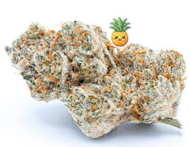 High Rollers - Flower - Pineapple Upside Down Cake (H) - Bulk