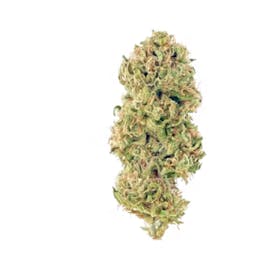 High Rollers - Flower - HuckleBerry Kush (iH) - Bulk
