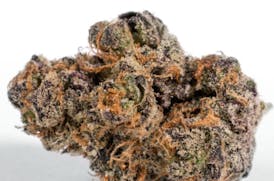 High Rollers - Flower - Lavenade (H) - Bulk