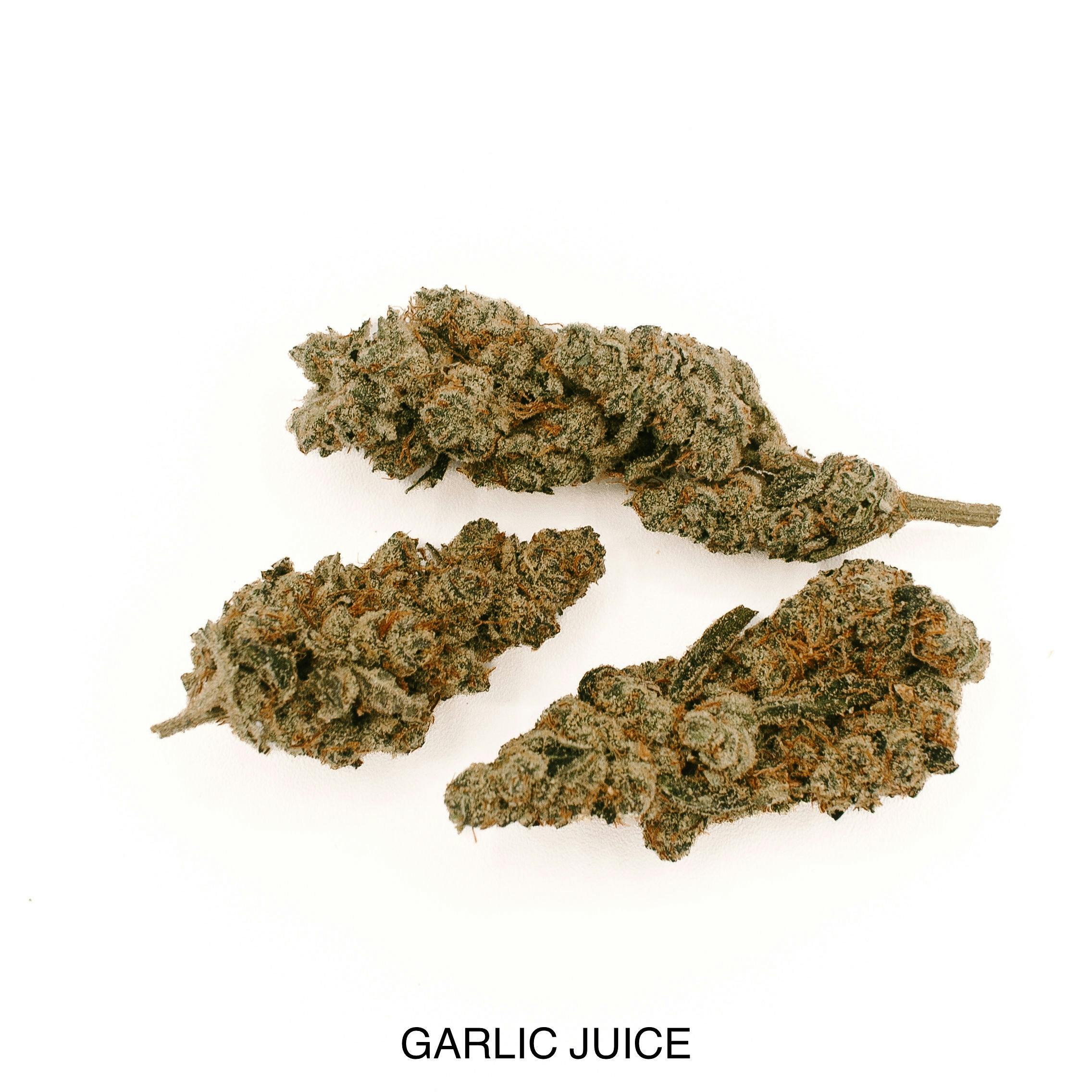 The Plug - Garlic Juice - Gold
