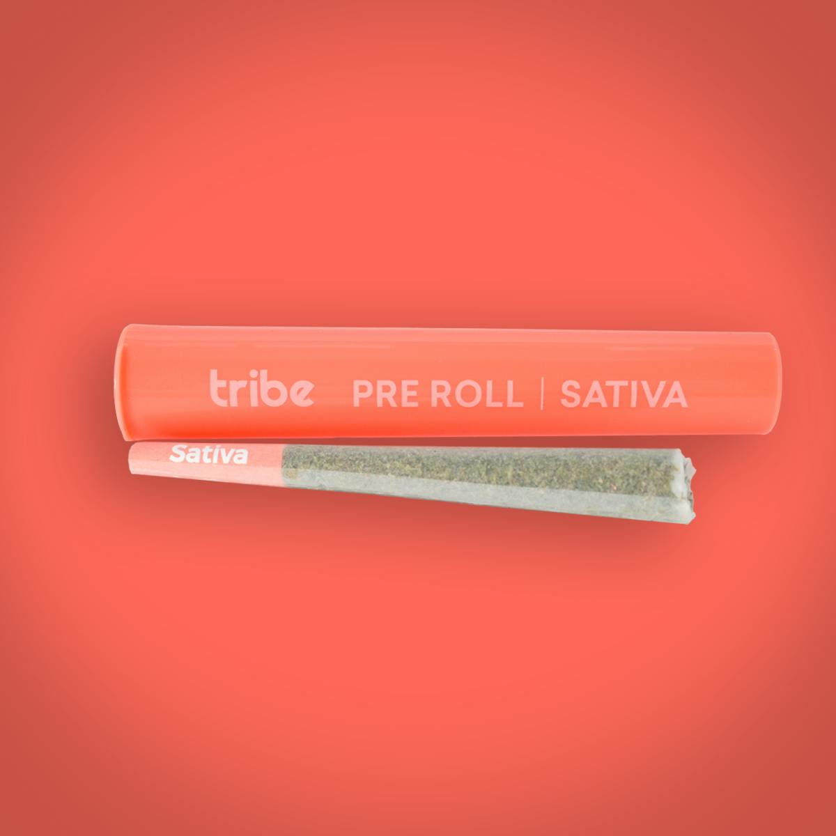 Tribe - Manimal - Sativa - Flower Pre Roll - 1g
