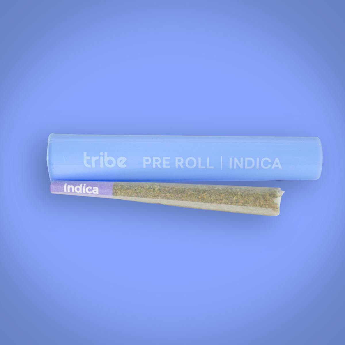 Gelato Float | Joint | 1g