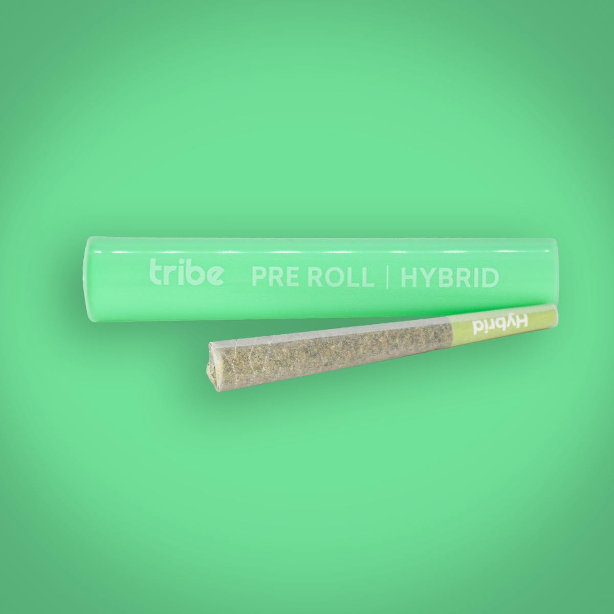 Rainbow Mintz | Joint | 1g