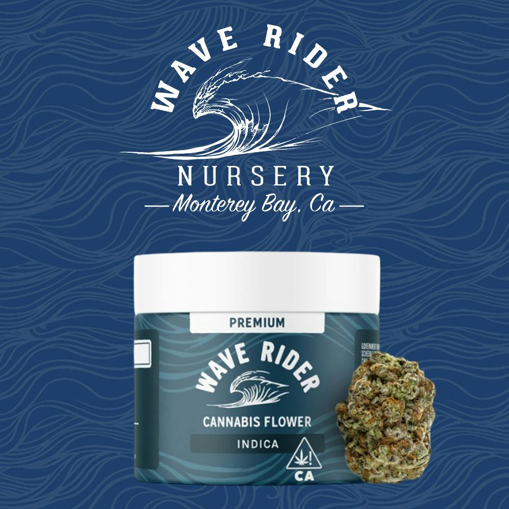 Mendo Breath | Wave Rider