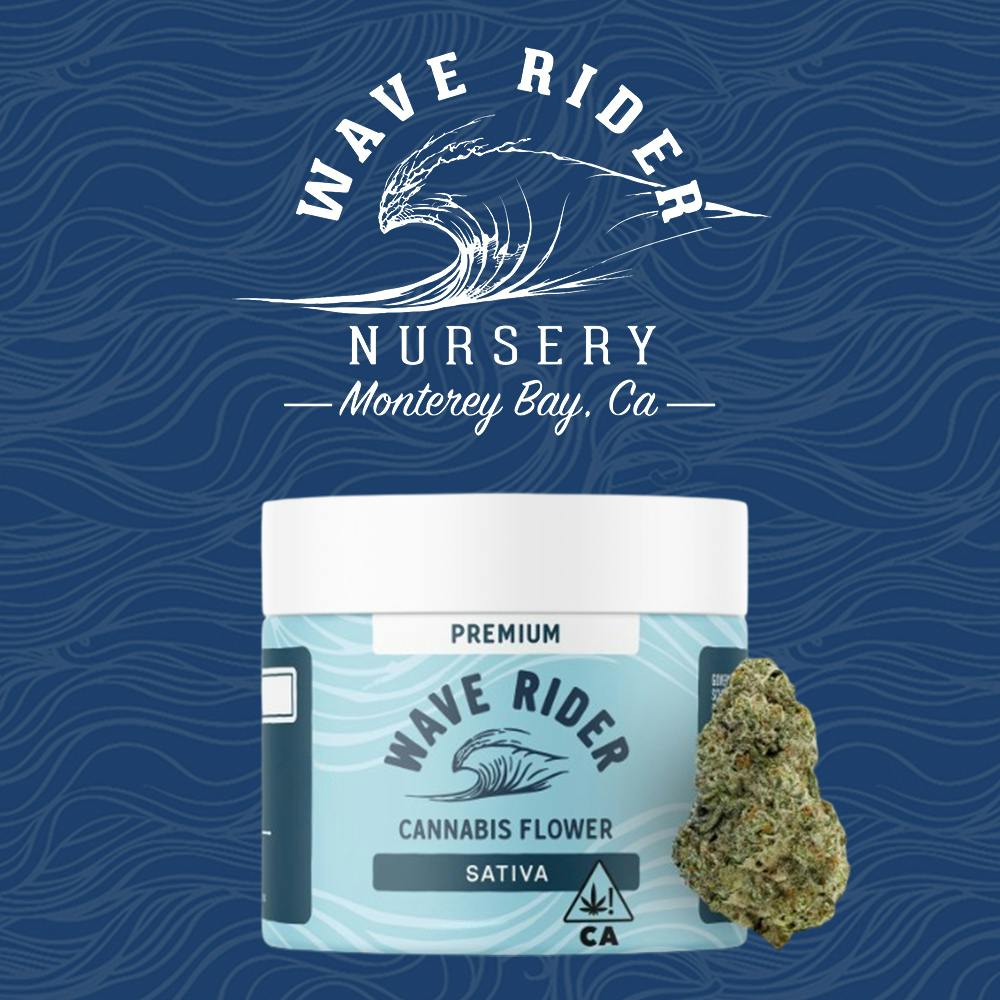 Grapefruit | Wave Rider