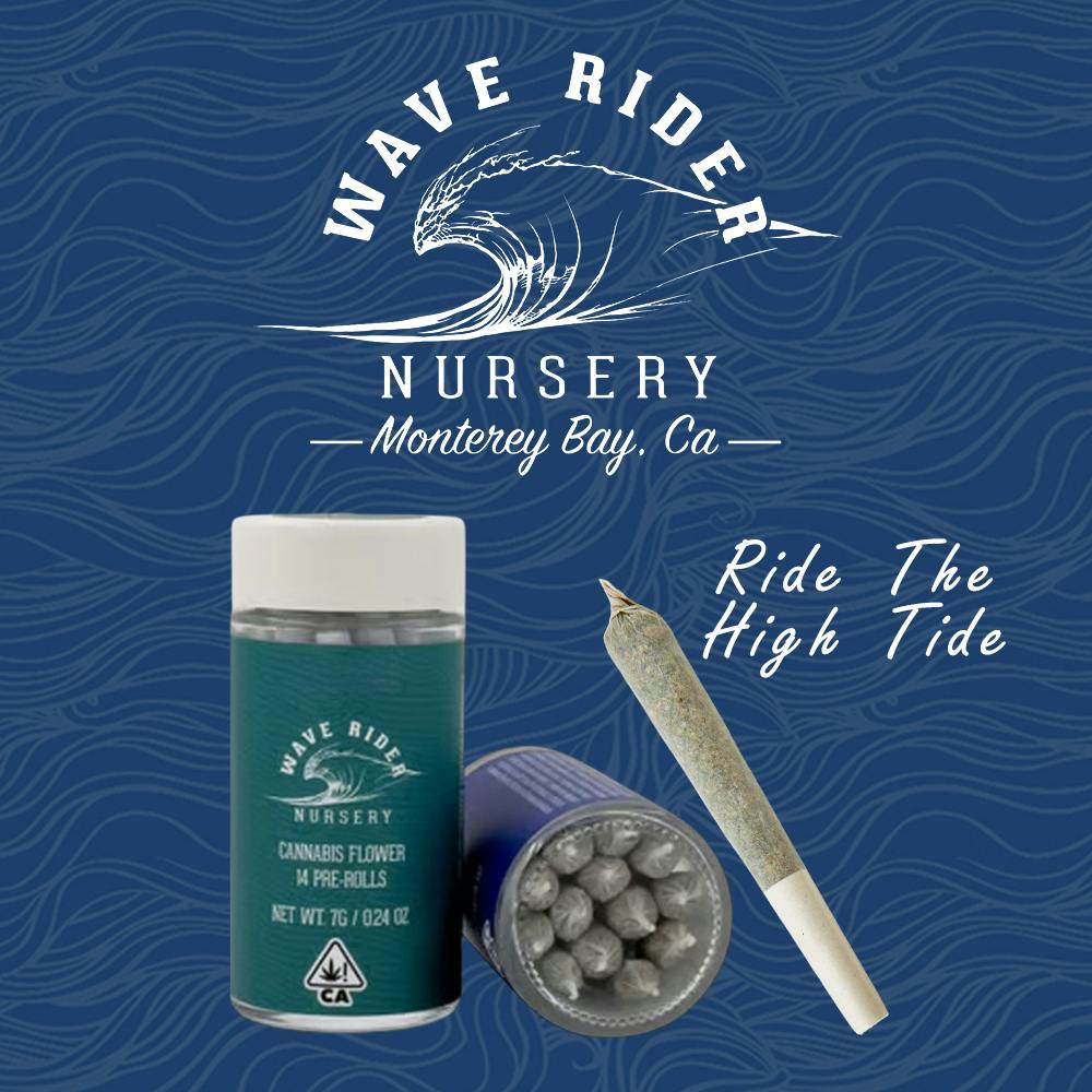 La Kush Cake [.5g] | Wave Rider - 14 Pack Pre Roll