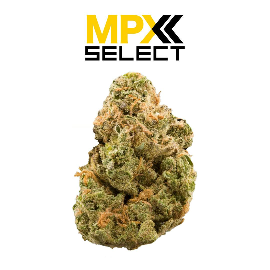 MPX Select Strawberry Fields Flower