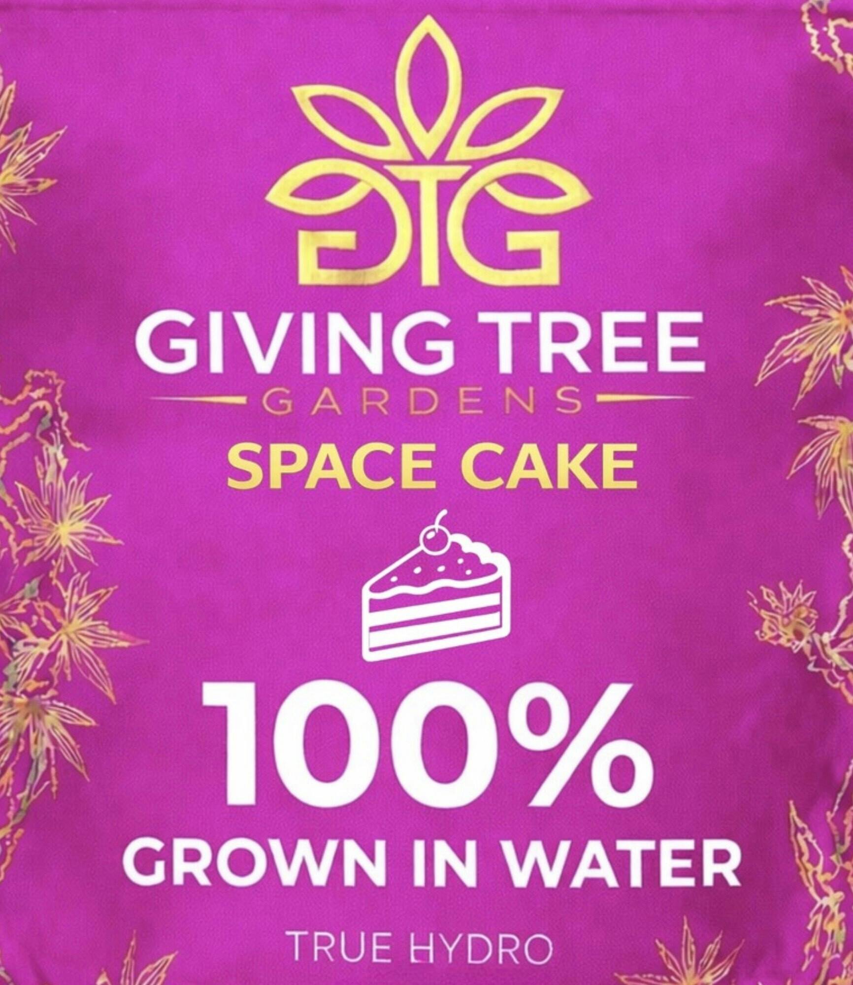 Space Cake