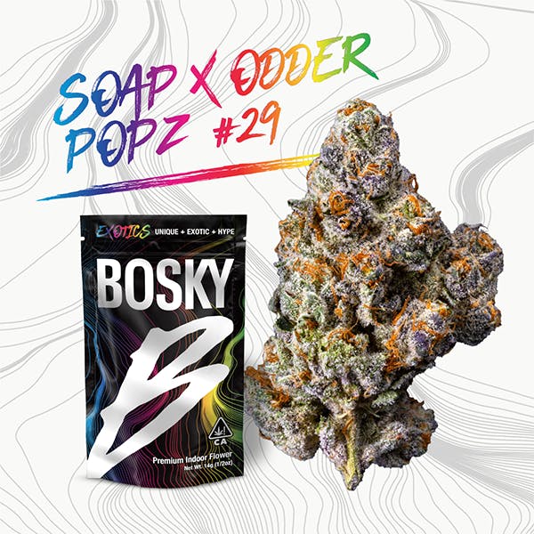 Bosky Genetics: Soap X Odder Popz #29