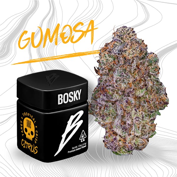 Bosky Genetics: INDOOR FLOWER - GUMOSA - 3.5G