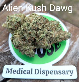 Alien Kush Dawg