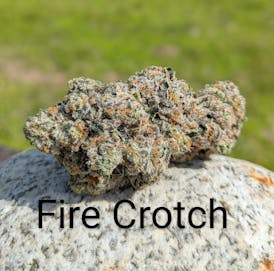 Fire Crotch