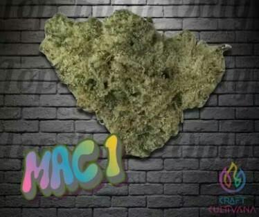 CRAFT CULTIVANA : MAC 1 (CAP’S CUT)