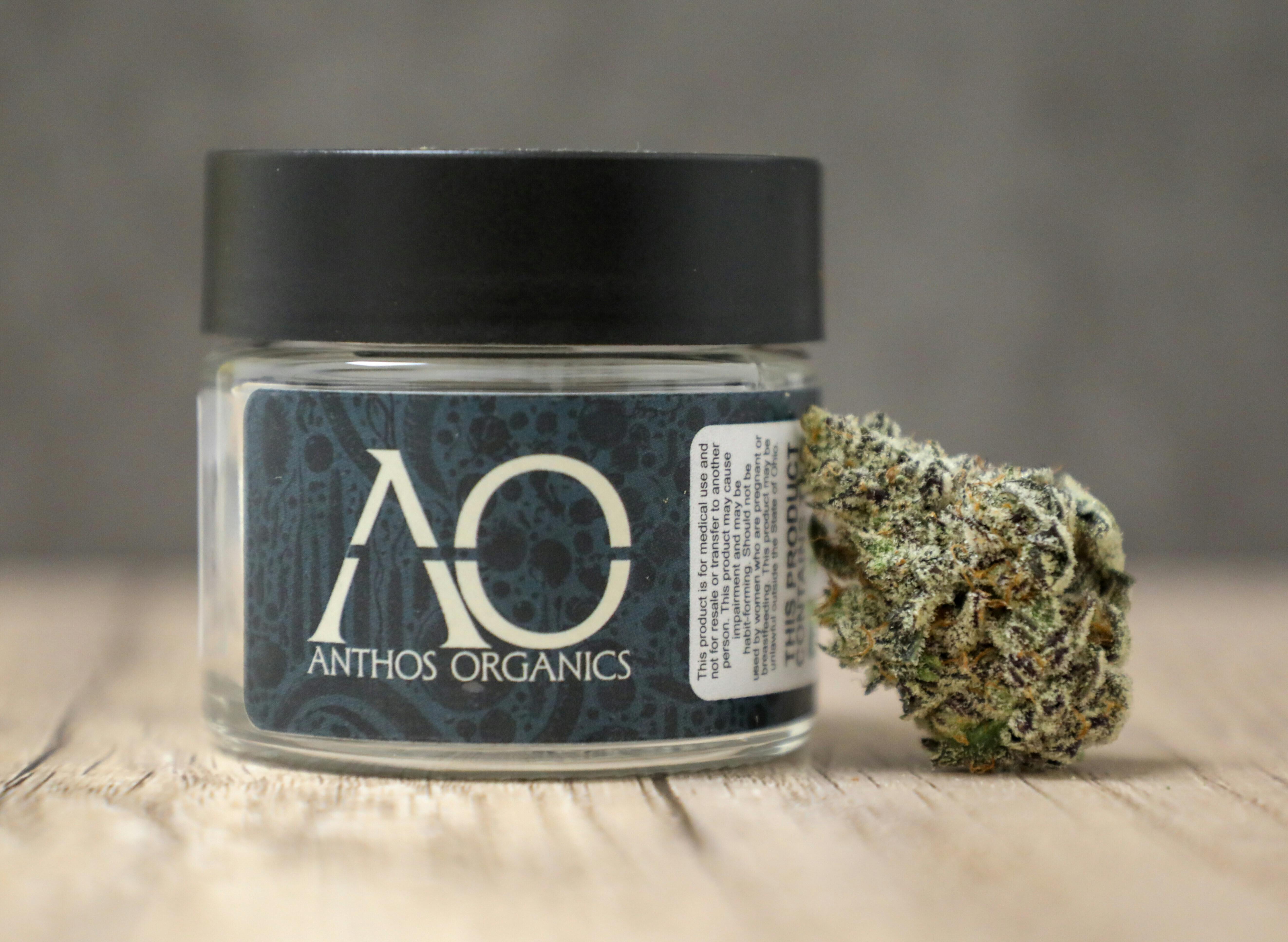 Anthos | White Truffle | 2.83g Premium Flower