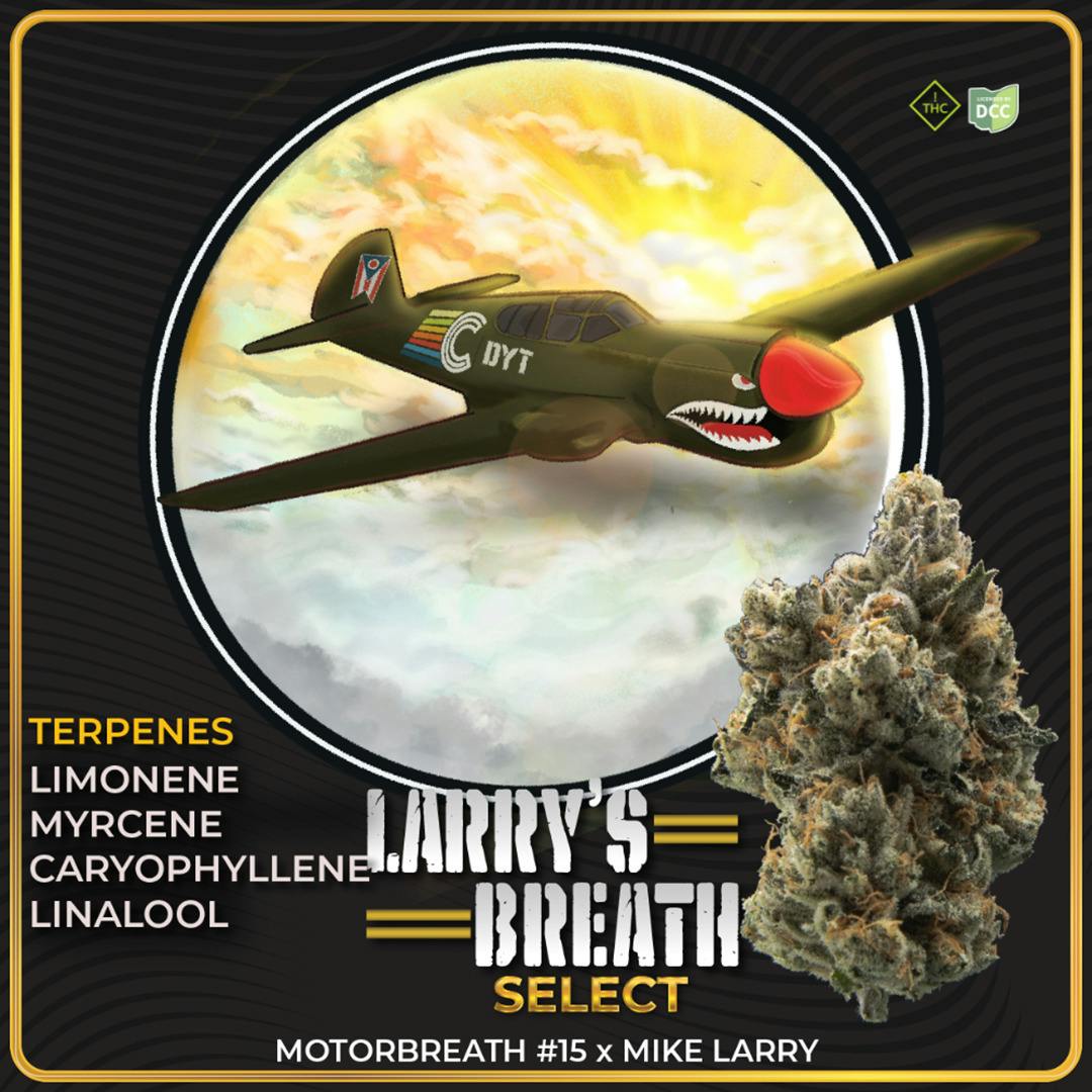 Larry's Breath Select | 3.5g | Indica