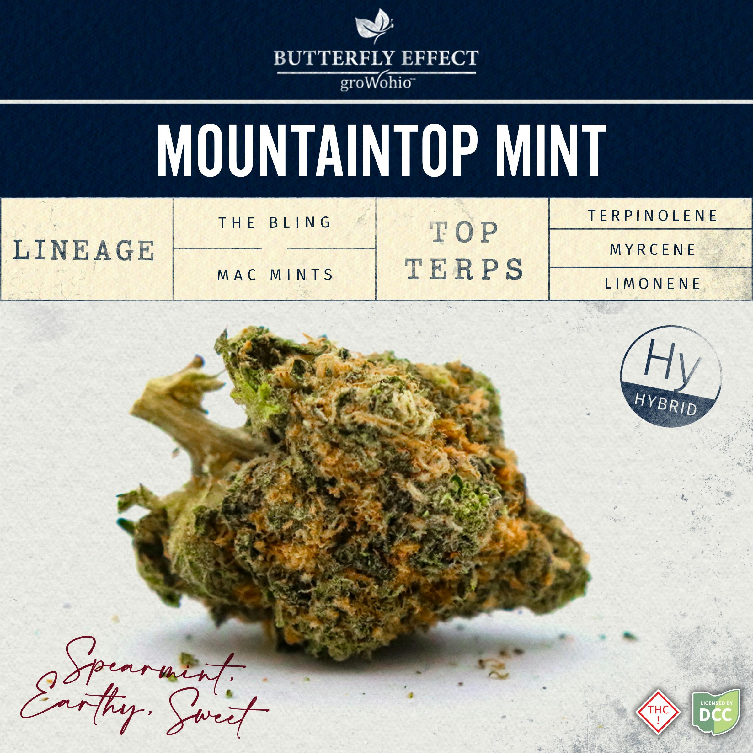 Mountaintop Mint | 2.83g | Hybrid at Culture of Akron