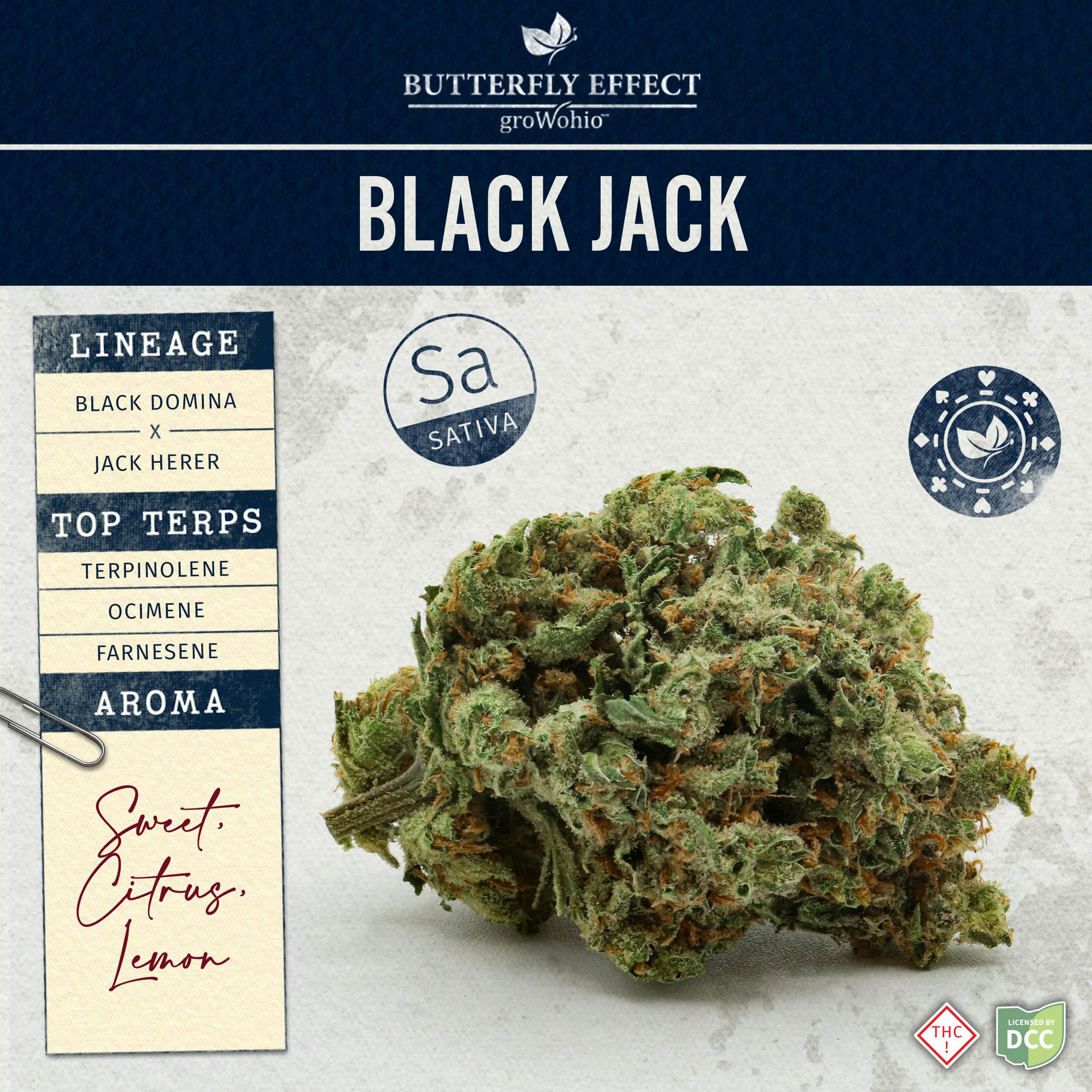 BLJCK | 3.5g | Sativa
