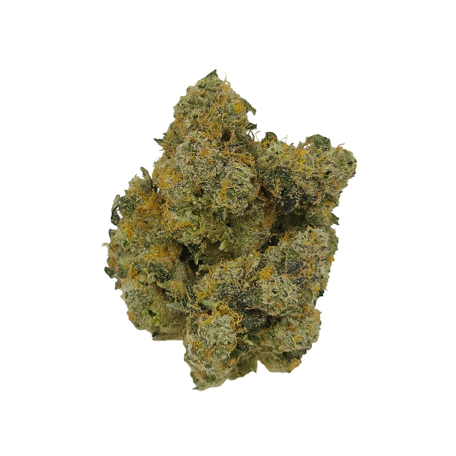 SOUR GAS: Sour Gas