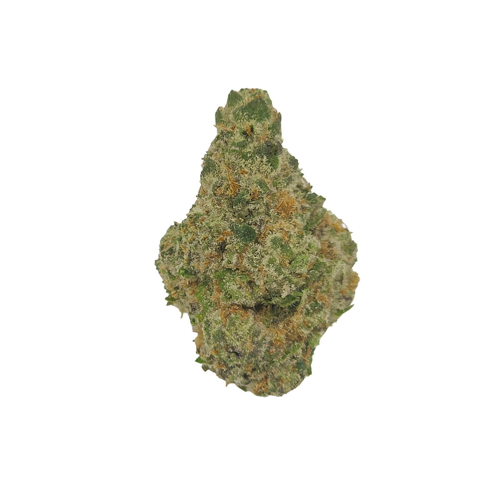 GMO: X Mai Tai