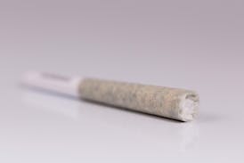 GNC Cupcake 0.5G DELI Pre-Roll