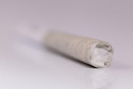 GNC Georgia Pie 1G DELI Pre-Roll