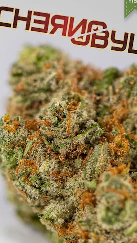 GNC Chernobyl DELI Flower (S)