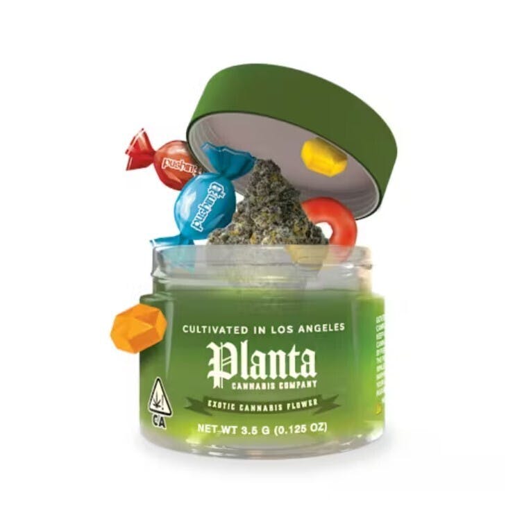 Planta Cannabis co — RS11