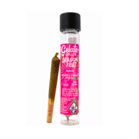 GELATO - LOLLIS: Dragon Fruit