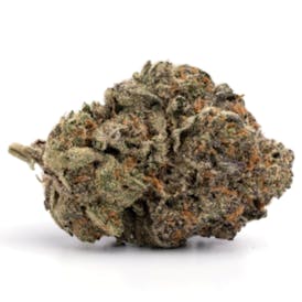 True Grit - Jet Fuel Gelato (H) 14g