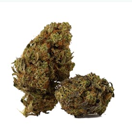 Exclusive - New Jack City (S) 28g