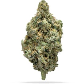 Exclusive - Headbanger (H) 28g