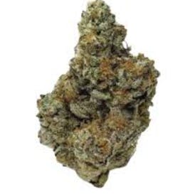 True Grit - Oreoz (I) 14g