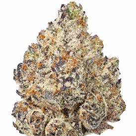 Trap Girl - Lemon Zlushie (H) 14g