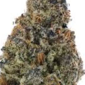 JAHnetics - JAH-licious