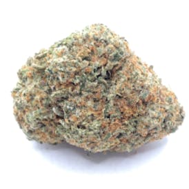 Hazy Bulldog Farms - Cheesecake Runtz (I) 14g