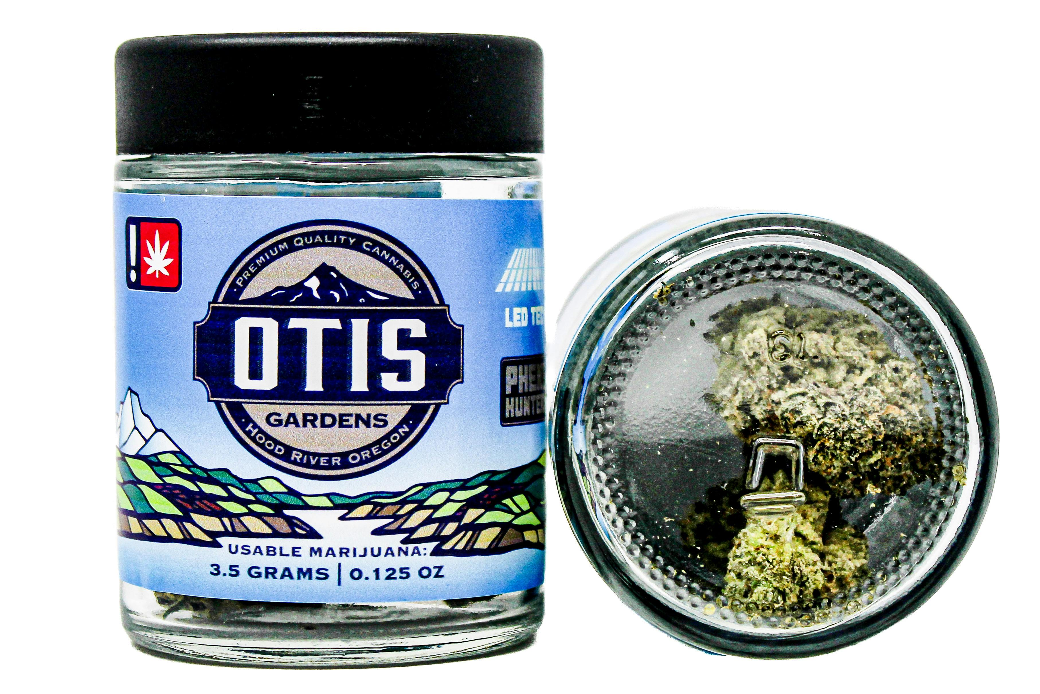 OTG Gelato 41: 49588 G37