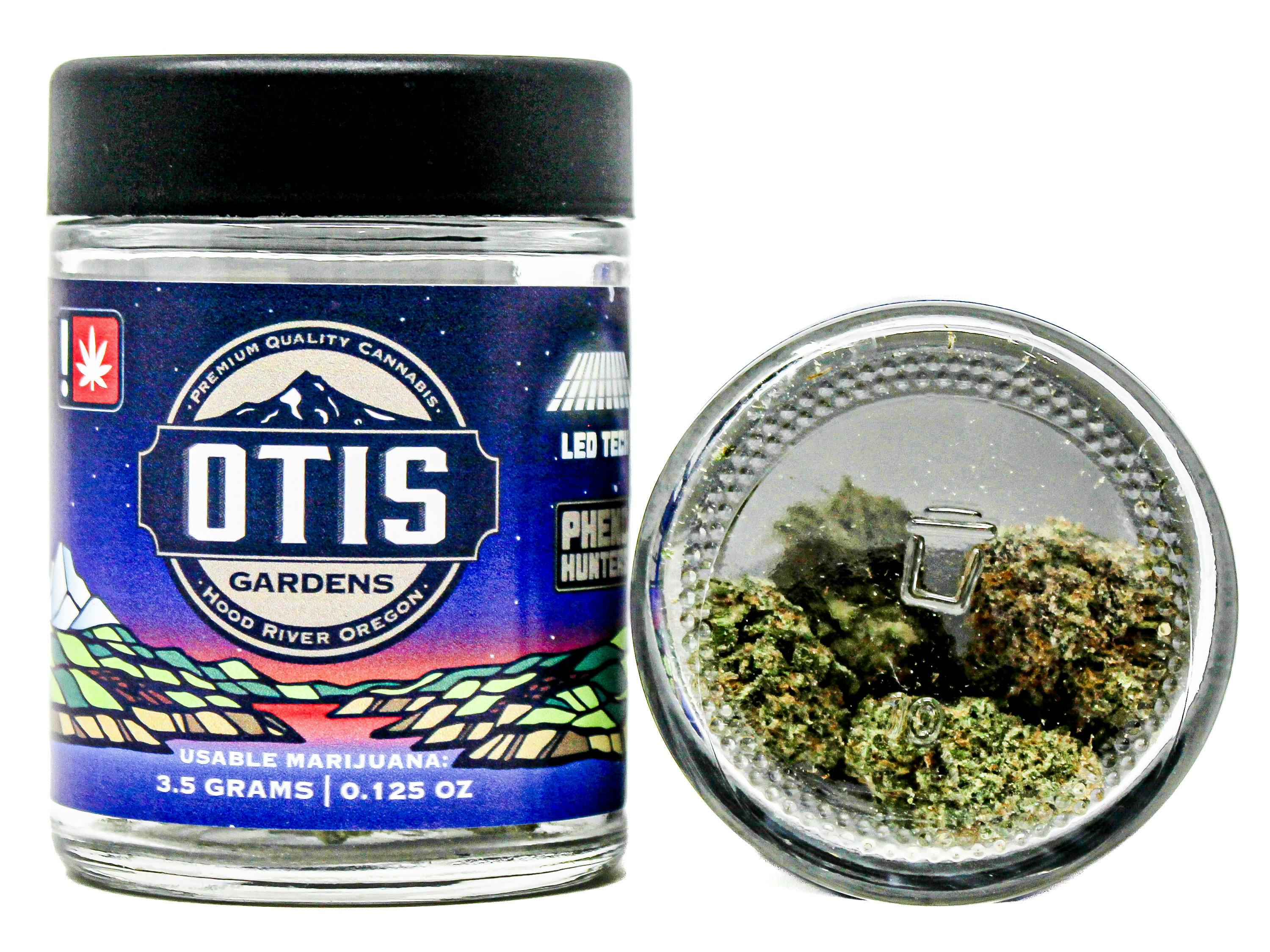 OTG Blueberry Muffin 3.5g 39542 E60|G44H44
