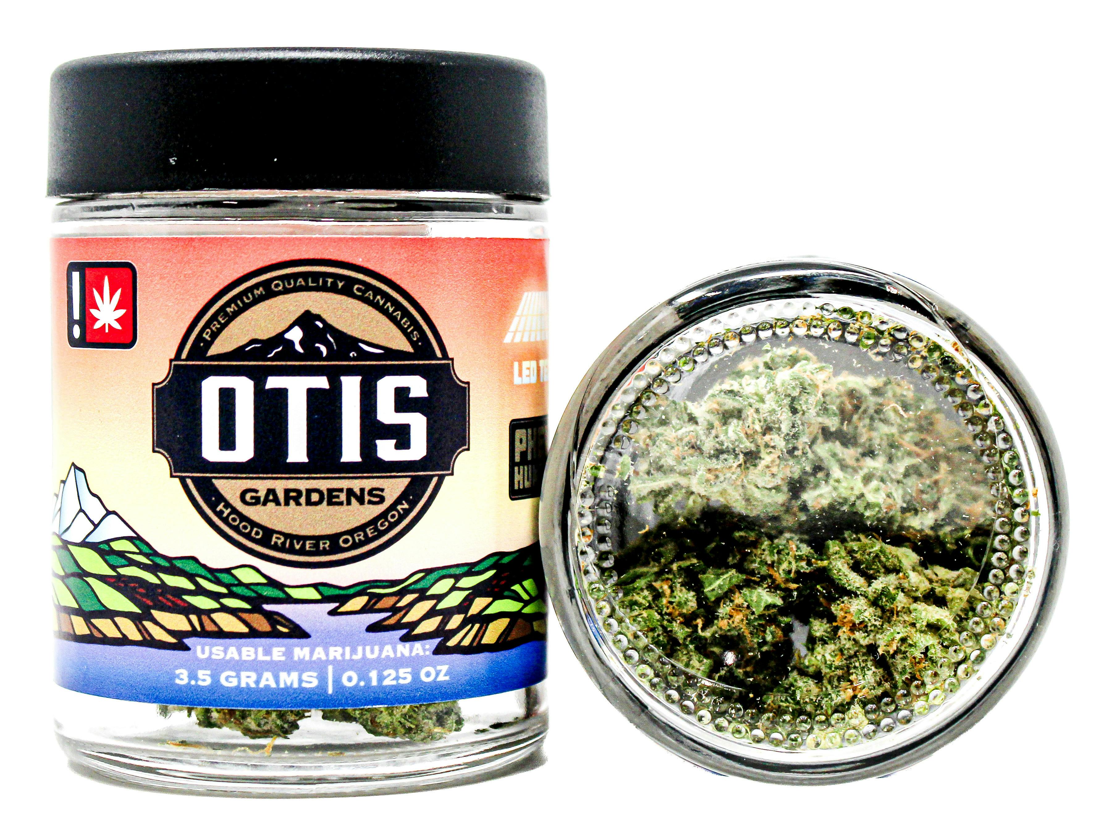 OTG Sparkling Lime: 36421 I21