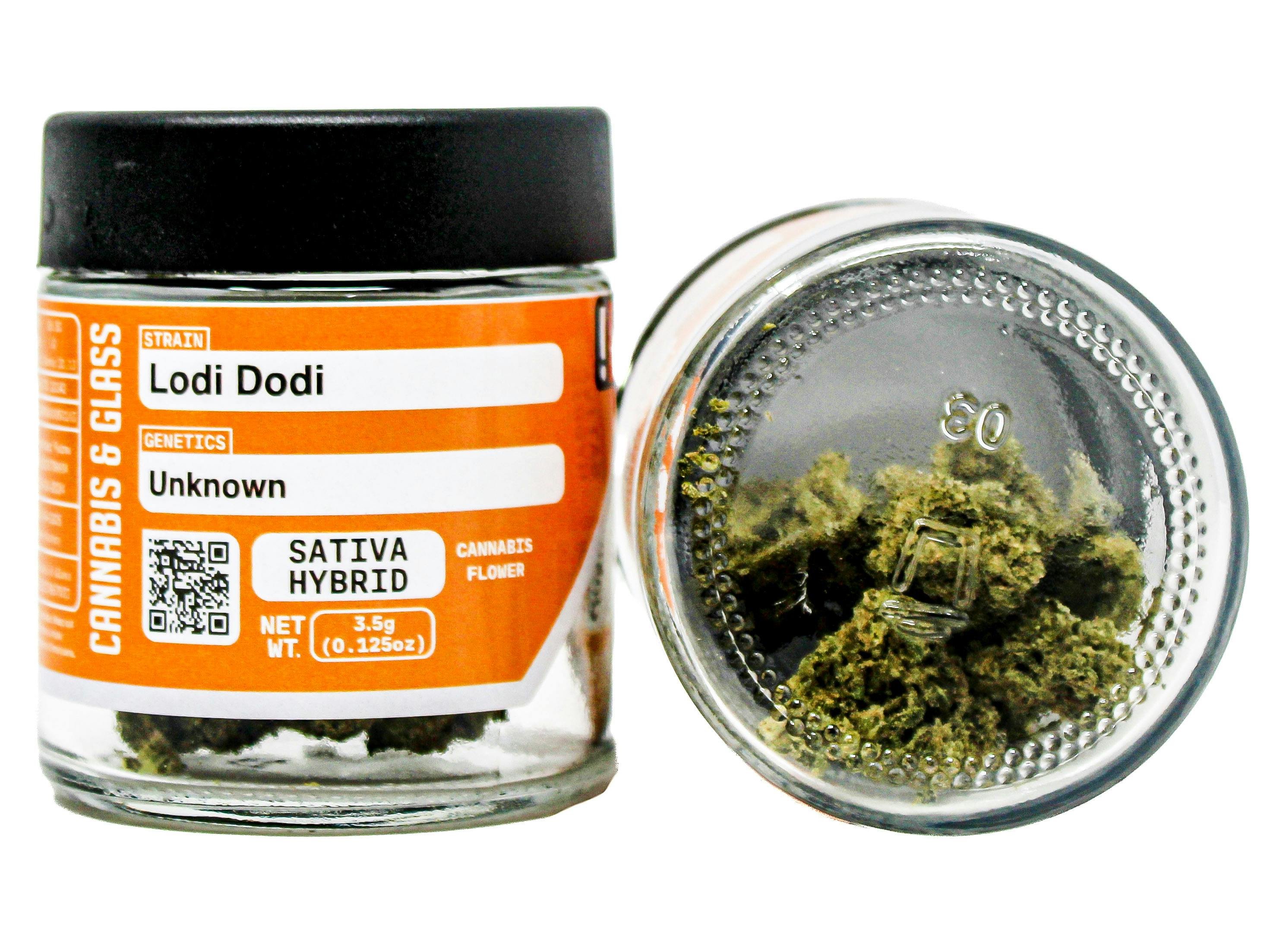 C&G Lodi Dodi: 53716 E65