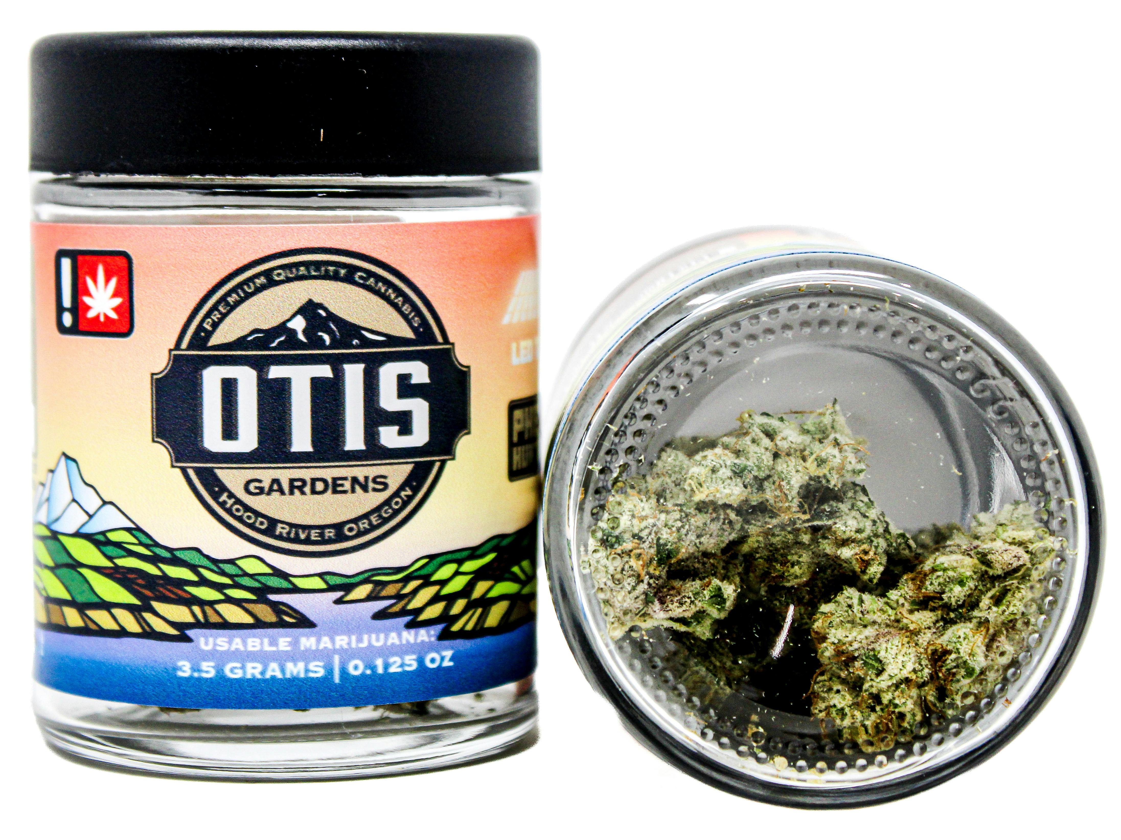 OTG Froot Stripes: 54562 F55