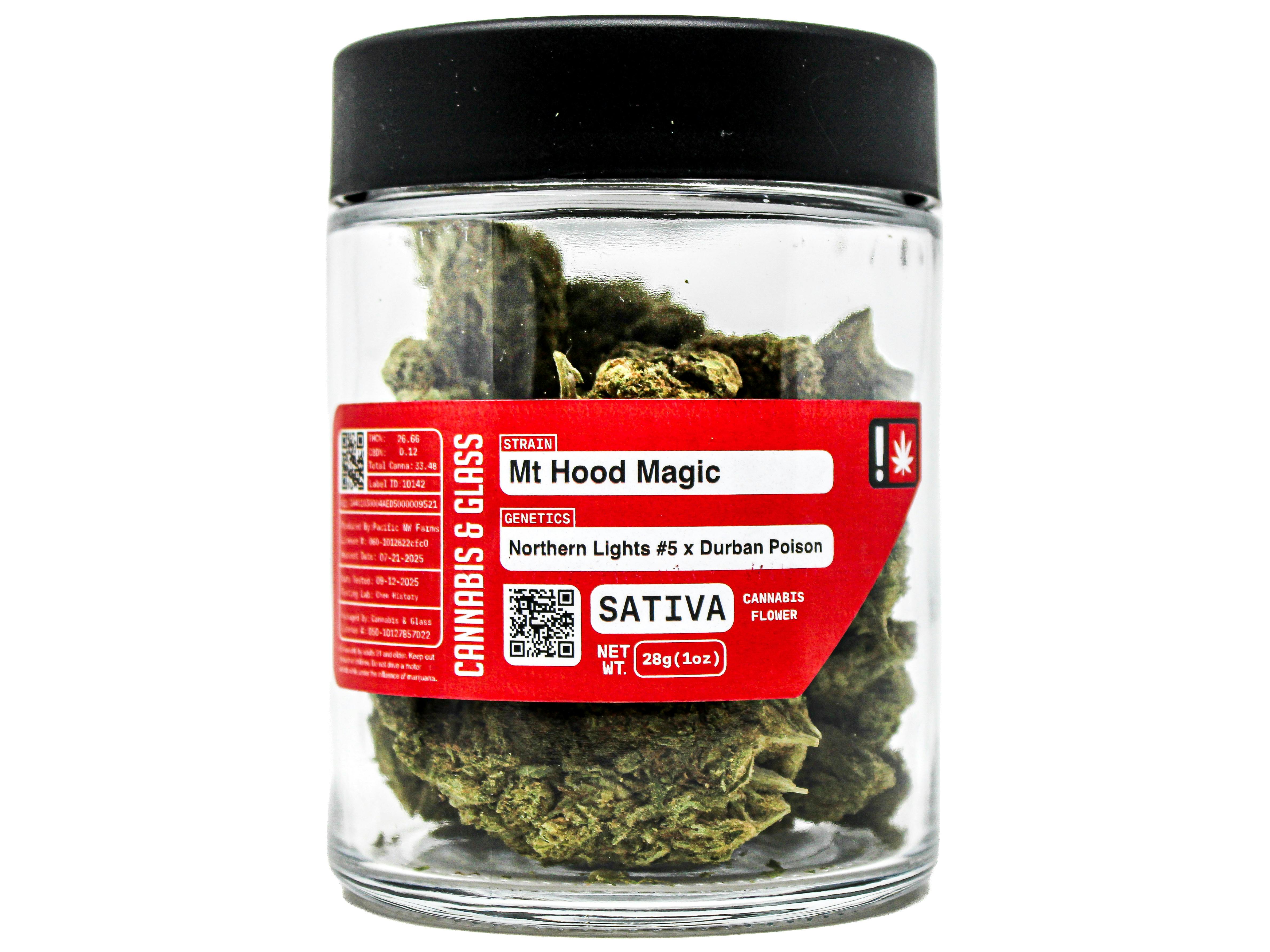 C&G Mt Hood: Magic 44876 H54