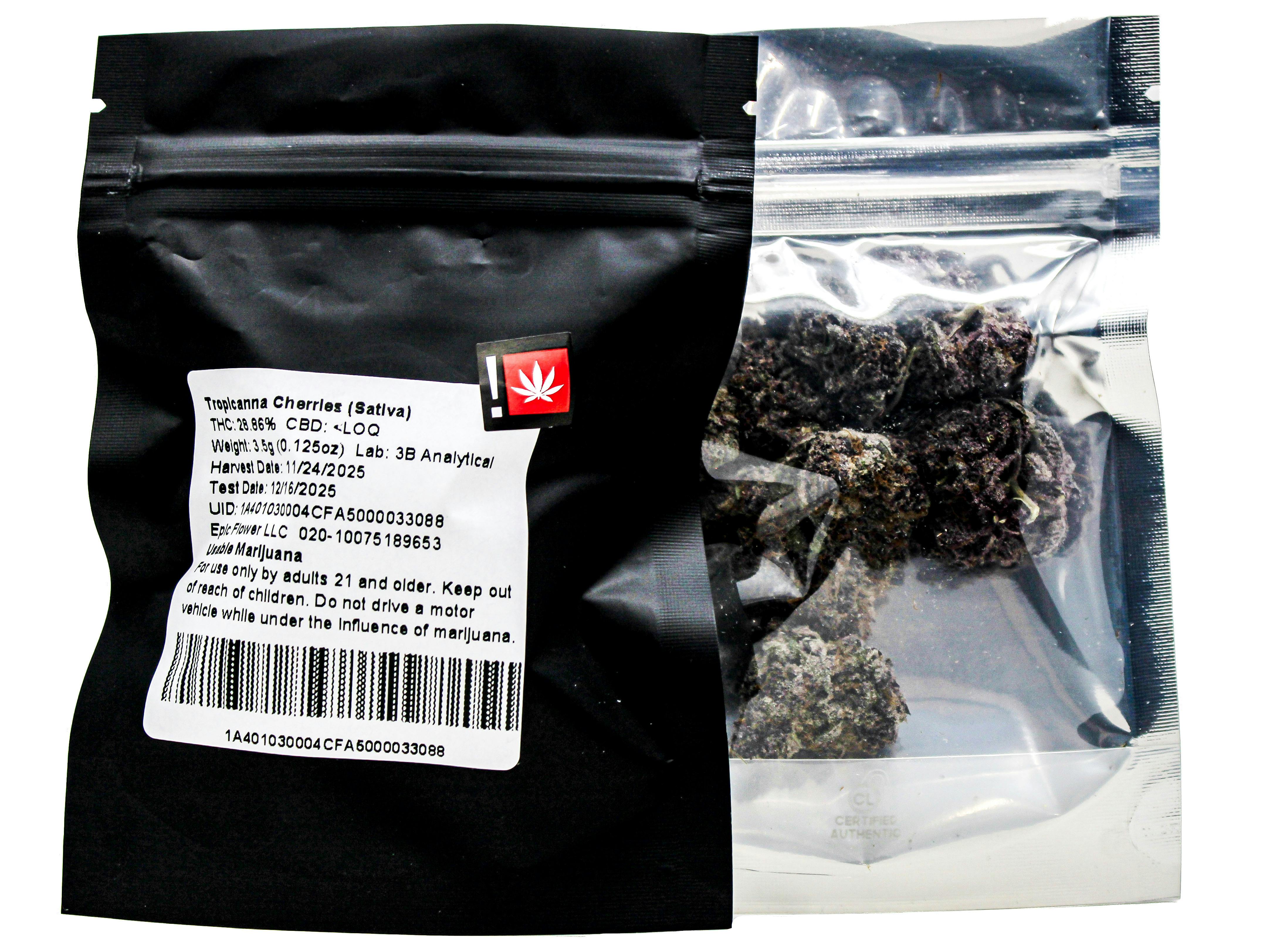 EFL: Tropicanna Cherries 55010 F60