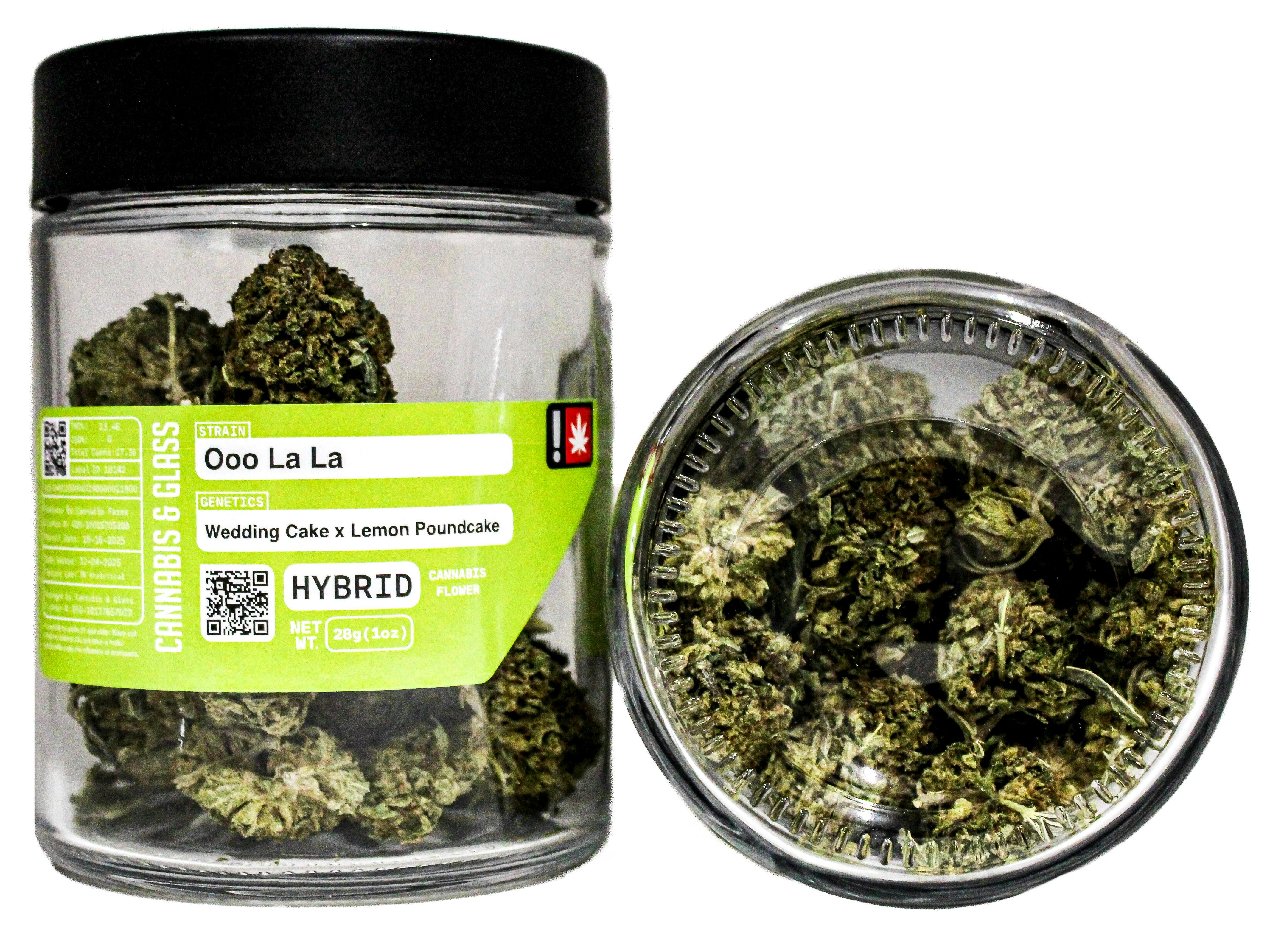 C&G Ooo La: LA 55242 F14