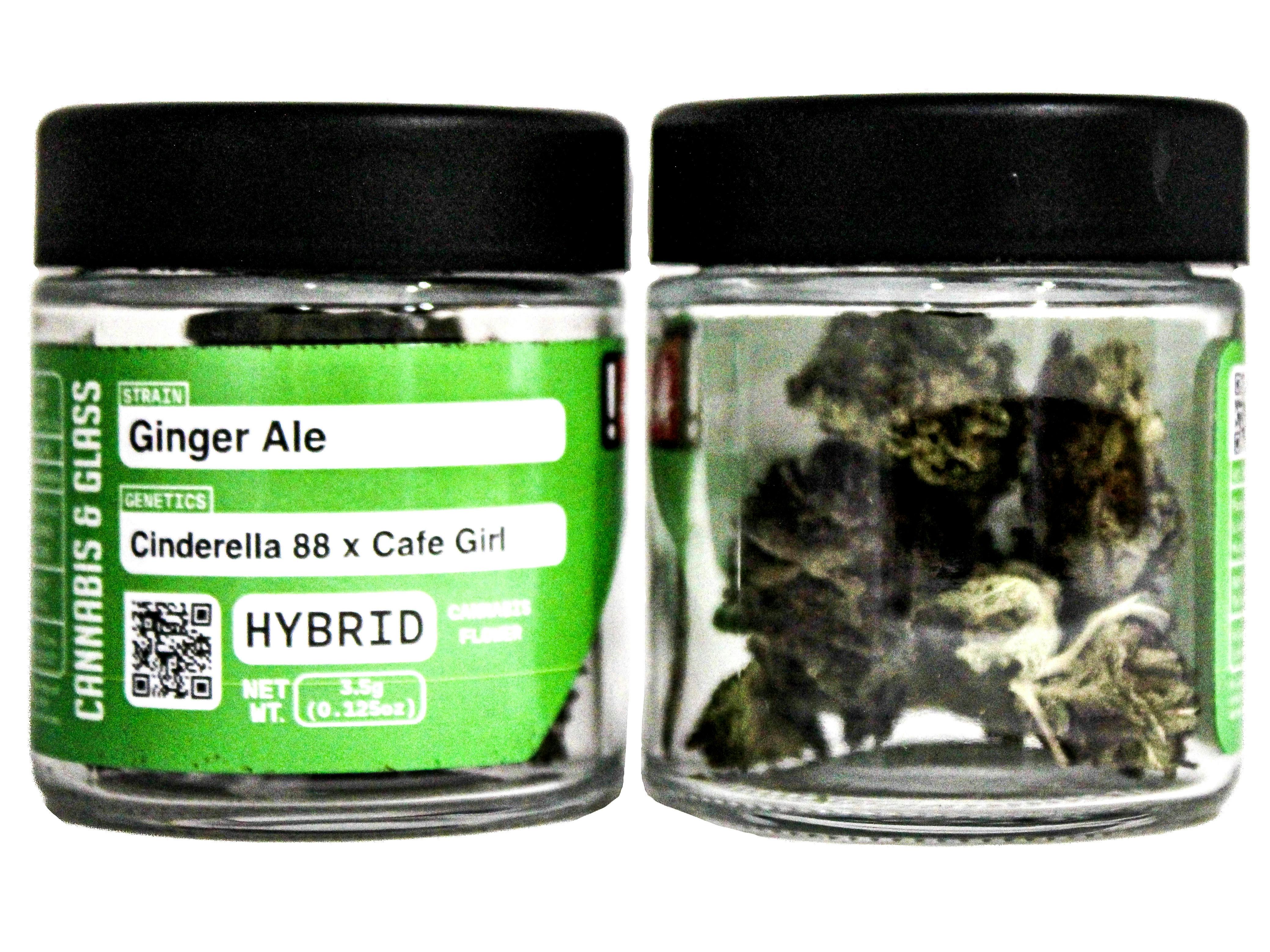 C&G Ginger Ale: 54998 H68