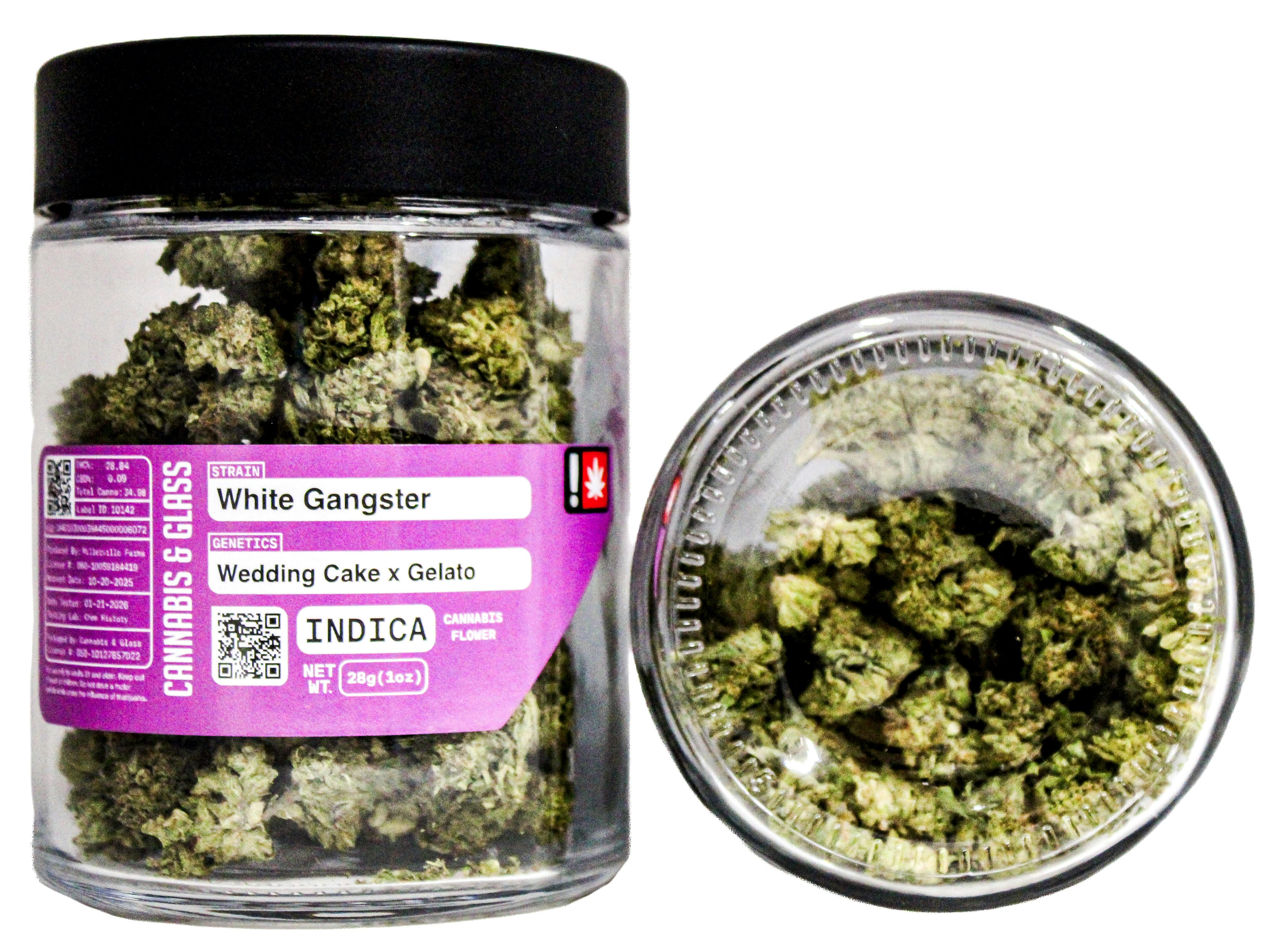 C&G White Gangster: 55220 H39