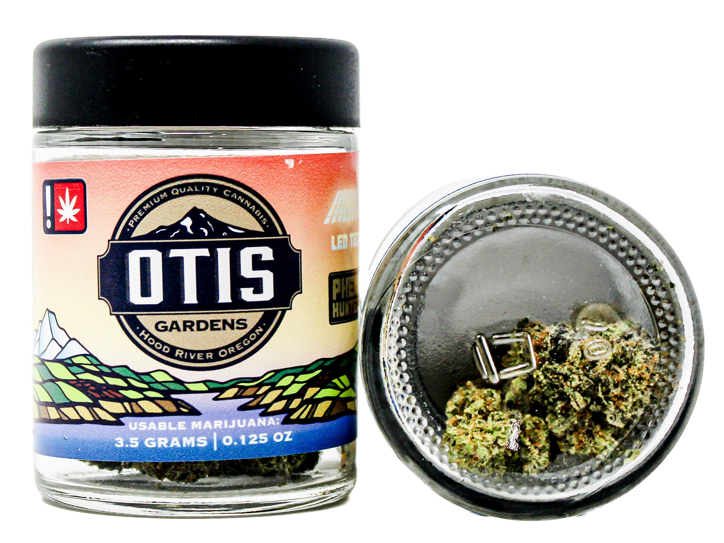 OTG Candied Oranges: 39718 Adj-sb1